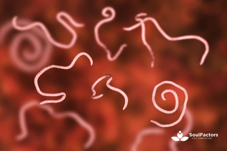 How To Get Rid Of Pinworms In Babies? Remedies And Prevention