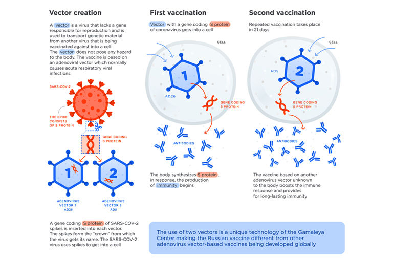 How do Adenoviral Vector-based Vaccines work