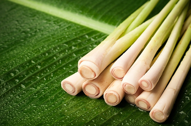 Lemongrass