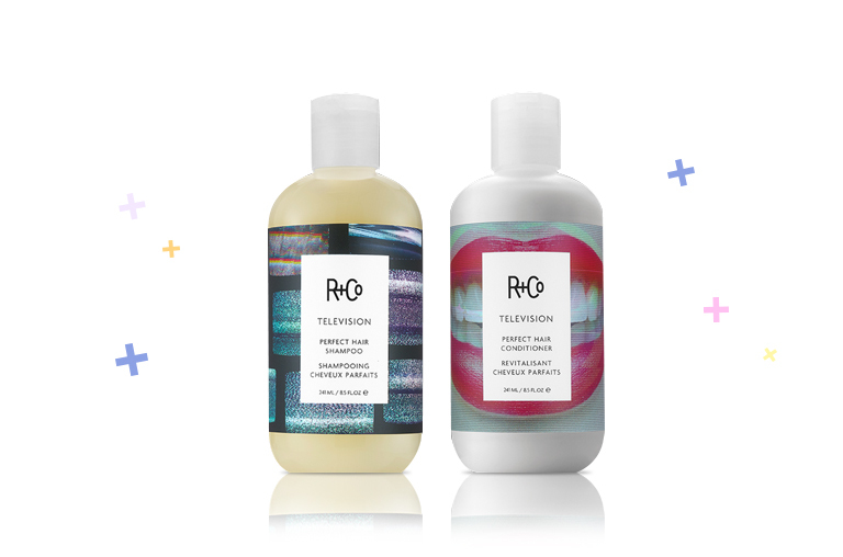 R+Co Television Perfect Hair Shampoo