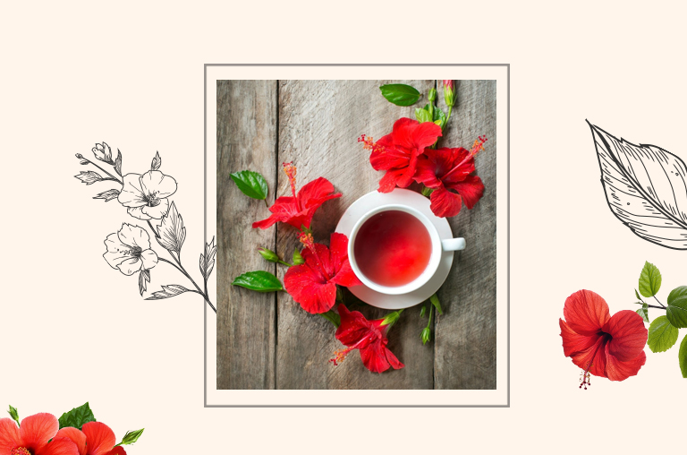 hibiscus for hair growth review