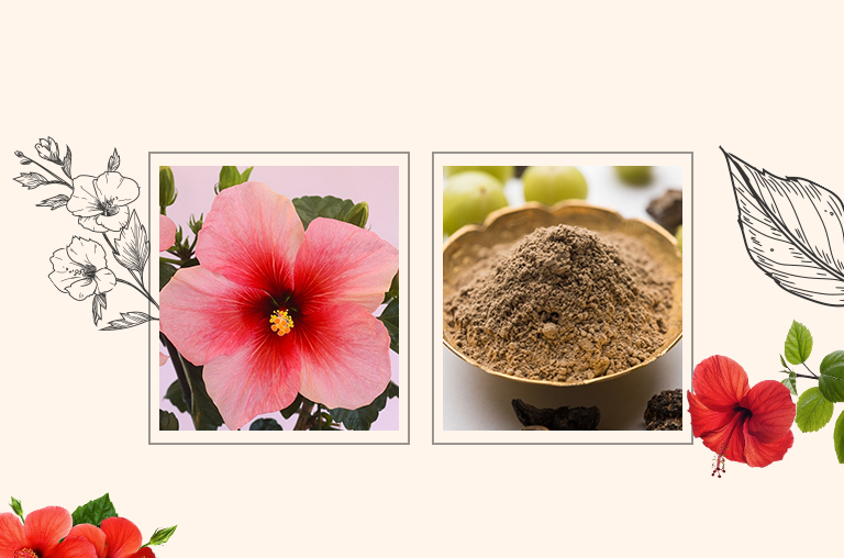 Hibiscus and Amla Powder For Hair Growth