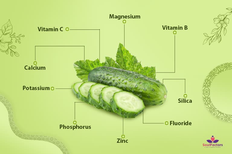 Benefits Of Cucumber For Hair