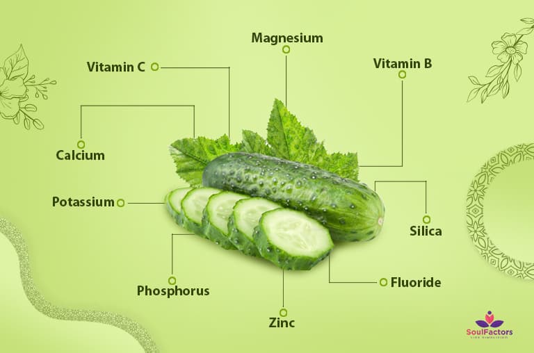 cucumber for healthy digestive system