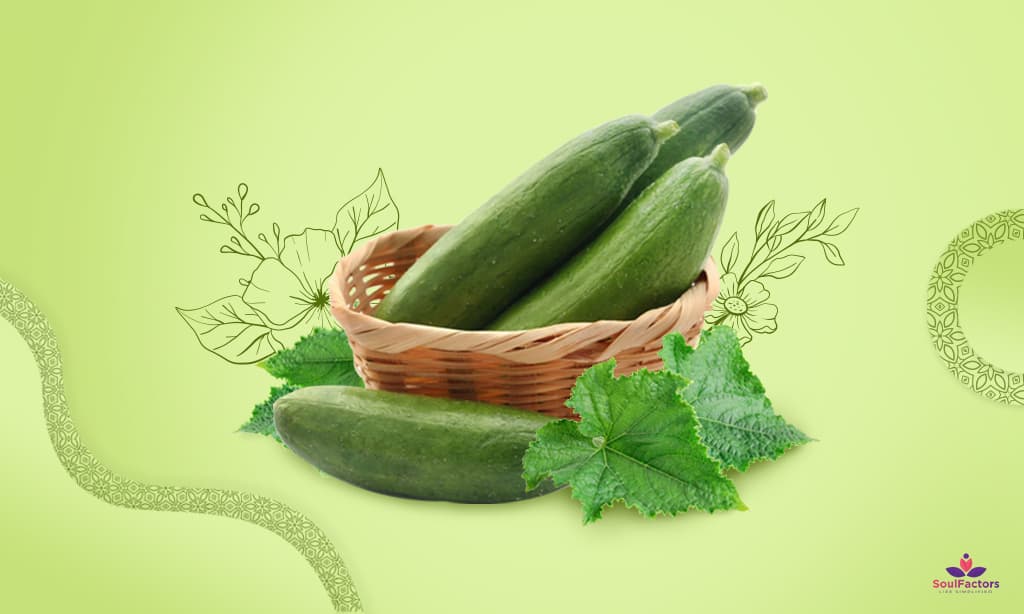 The Best-Kept Secret Benefits of Eating Cucumber at Night