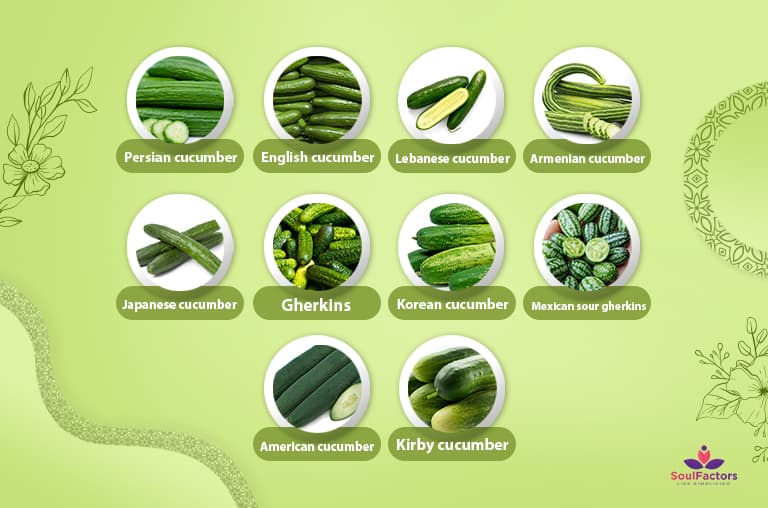 cucumber for healthy digestive system