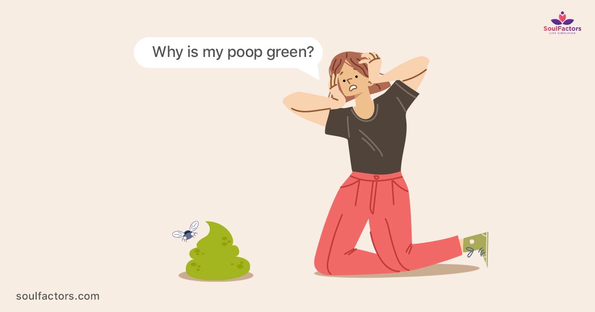 Why Is My Poop Green 12 Possible Reasons And Solutions 