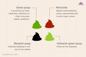 Why Is My Poop Green? 12 Possible Reasons And Solutions!