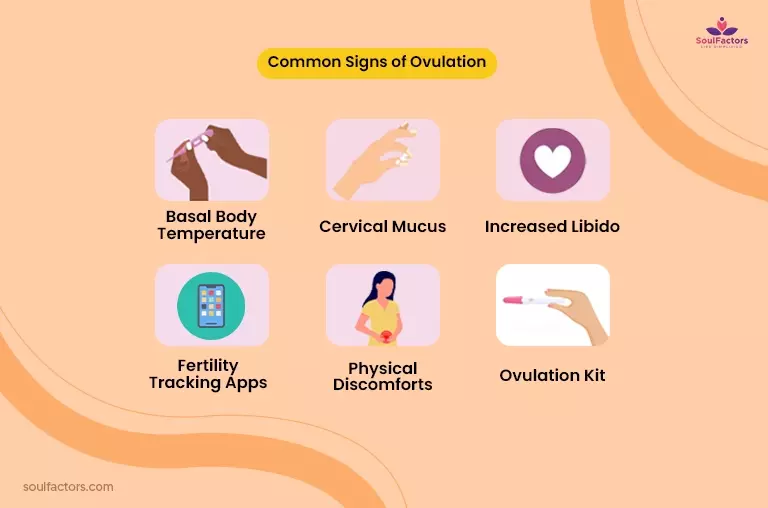 common signs of ovulation
