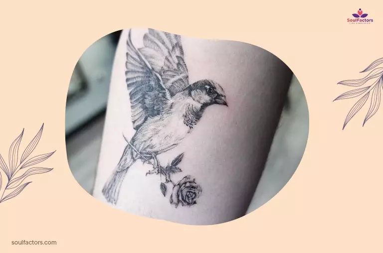 Sparrow Tattoo Designs: All You Need To Know!  