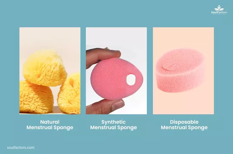 Types Of Menstrual Sponge