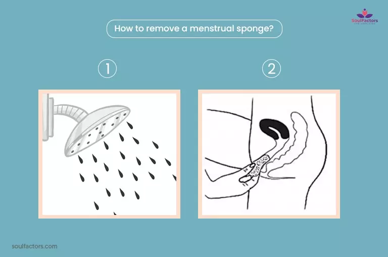 How To Insert A Menstrual Sponge?