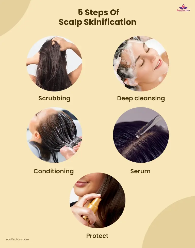 What Are The Steps Of Scalp Skinification? 