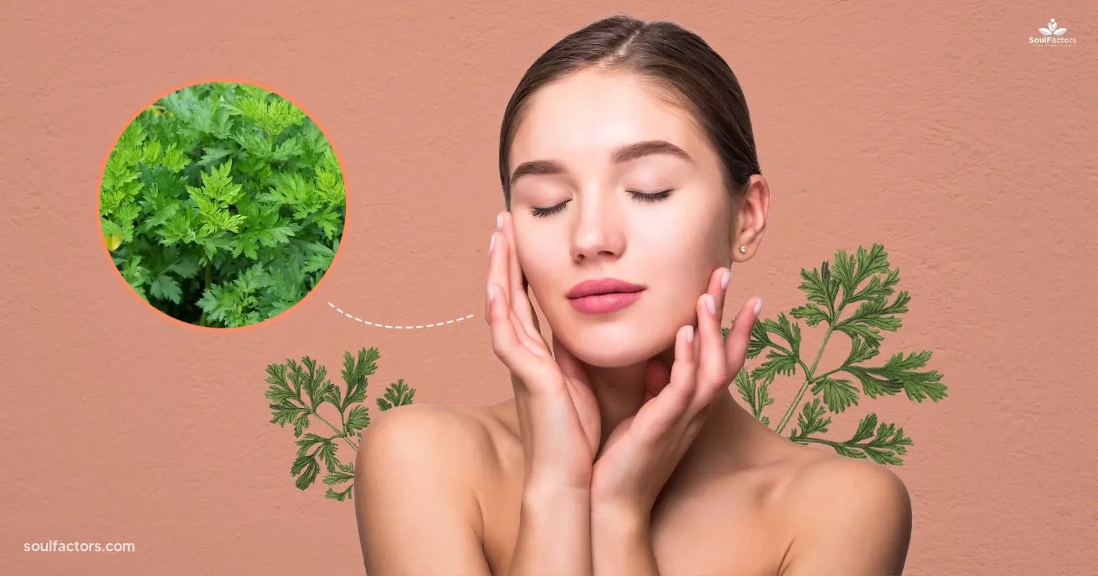 Why Dermatologists Love Mugwort Mugwort’s Benefits for Skin - Feature