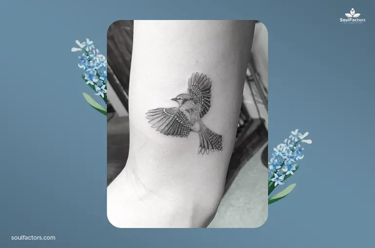 Blue Jay Bird Tattoo Designs