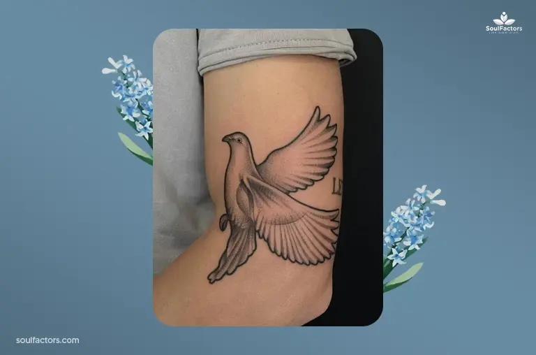 Dove Bird Tattoo Designs
