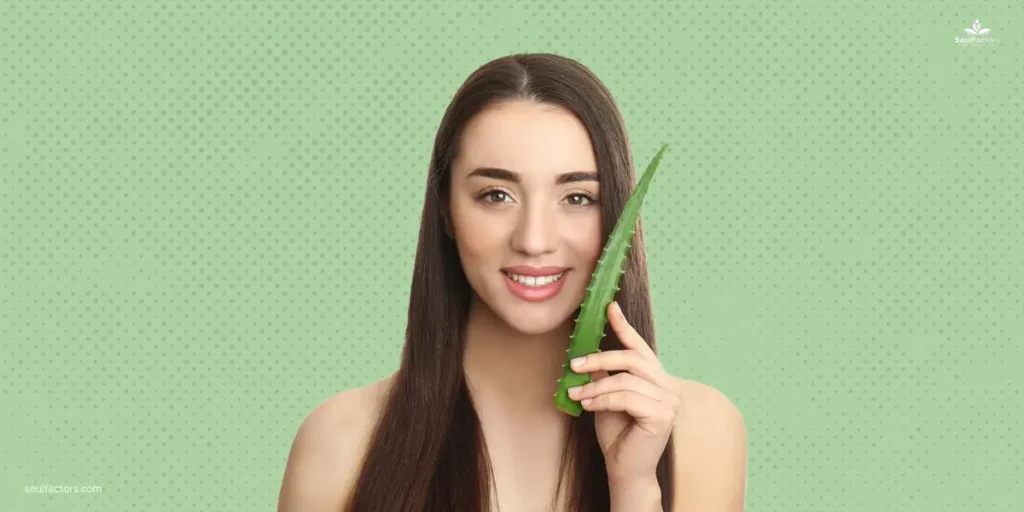 How To Use Aloe Vera Gel On The Face At Night: What Is Aloe Vera?