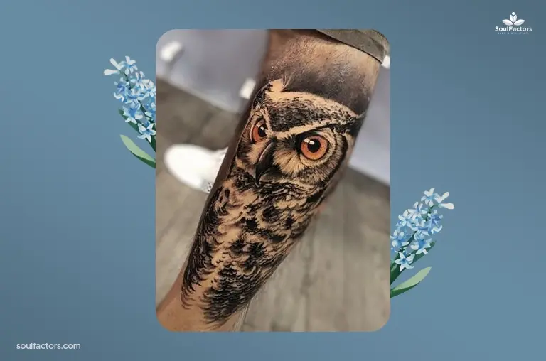 Owl Bird Tattoo Designs