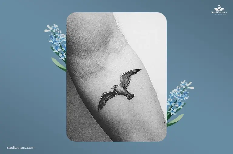 Seagull Bird Tattoo Designs