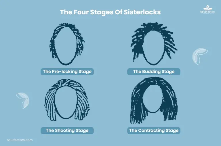 The Different Stages Of Sisterlocks