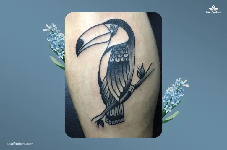 Toucan Bird Tattoo Designs