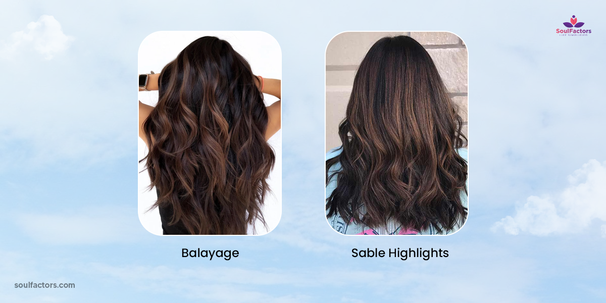 Fallayage & sable highlights - black hair with highlights