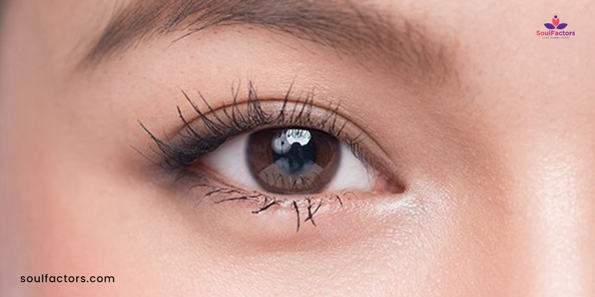 What Are The Different Types Of Eyelids