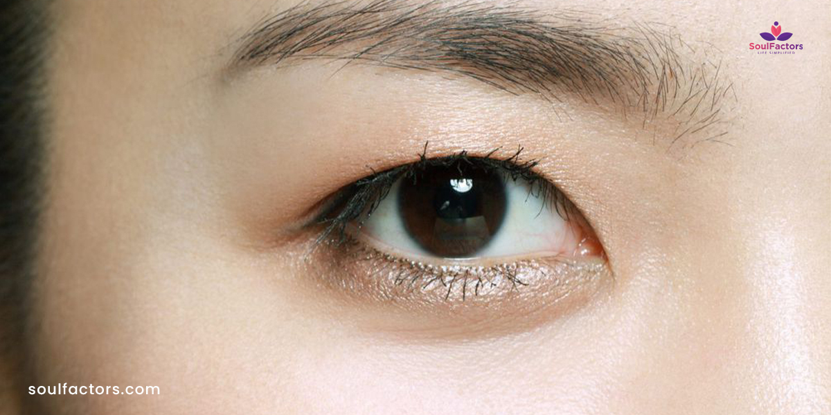 Different Types Of Eyelids