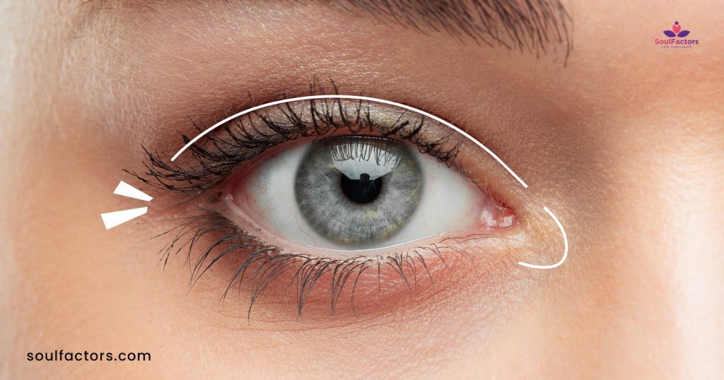 Types Of Eyelids Identify Yours & Effortless Eye Makeup Hints!