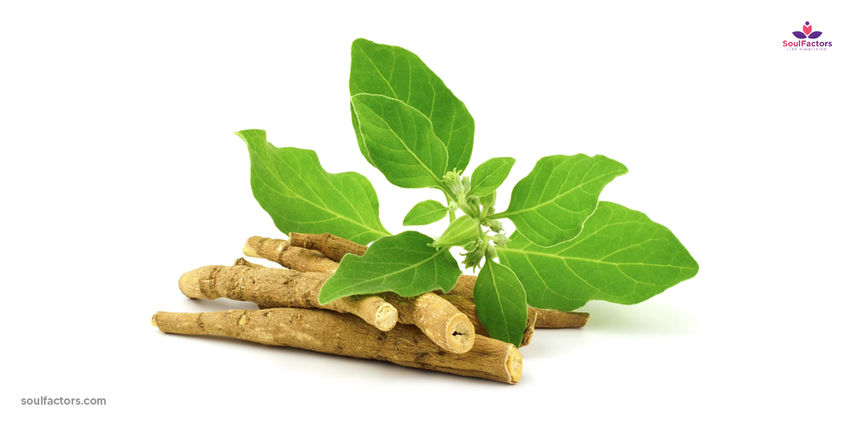 How long does ashwagandha take to work for anxiety