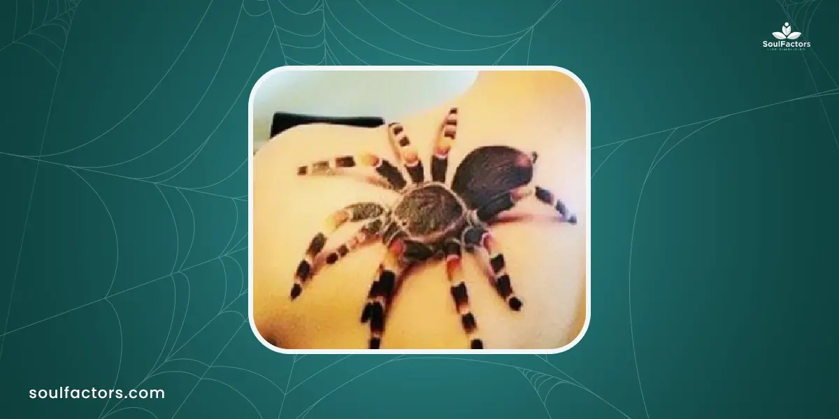 Spider Tattoo Designs: 20 Designs For Anyone and Everyone!