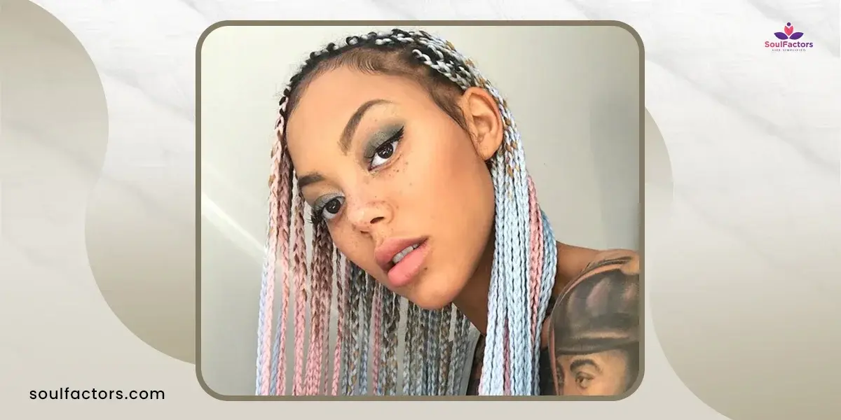 How To Style Box Braids - Multi-Colored Braids