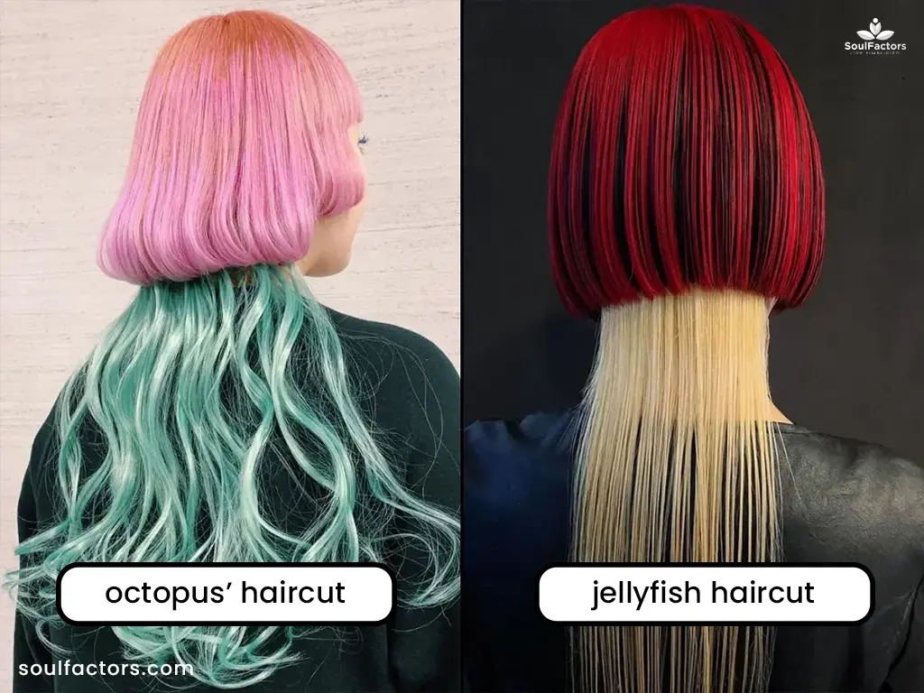 Difference Between A Jellyfish Haircut And Octopus Haircut