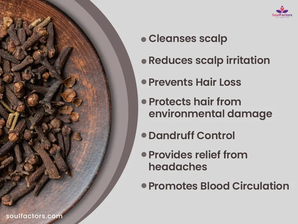 Health Benefits Of Cloves for hair