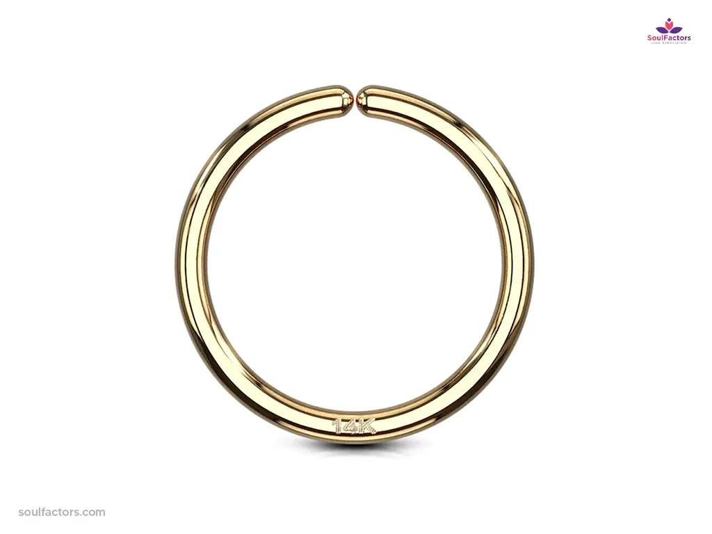 Seamless Nose Hoops