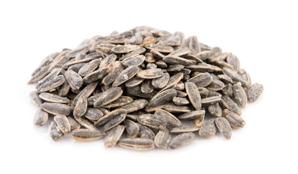 Sunflower seed,5 Best Seeds for Weight Loss