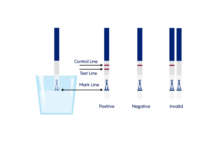 Best Ovulation Tests To Boost Your Chances Of Conceiving!